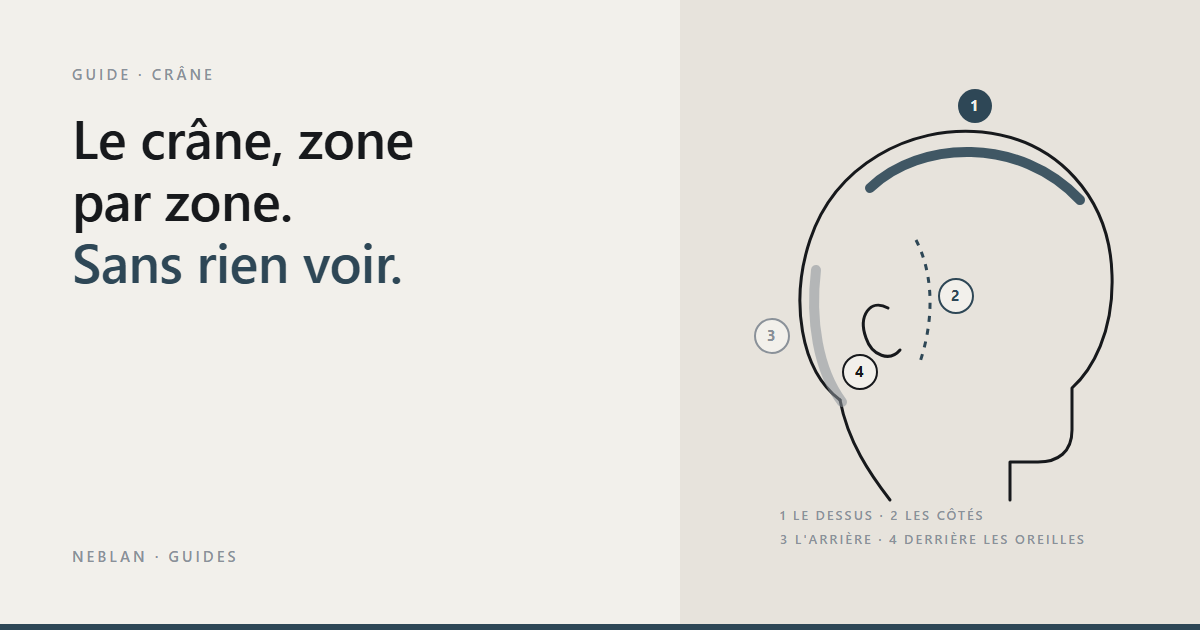 Schéma d'une tête de profil avec les zones du crâne à raser Image